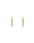 Front view of 14K yellow gold Small Diamond Hoop Earrings on a white background - Camille Jewelry