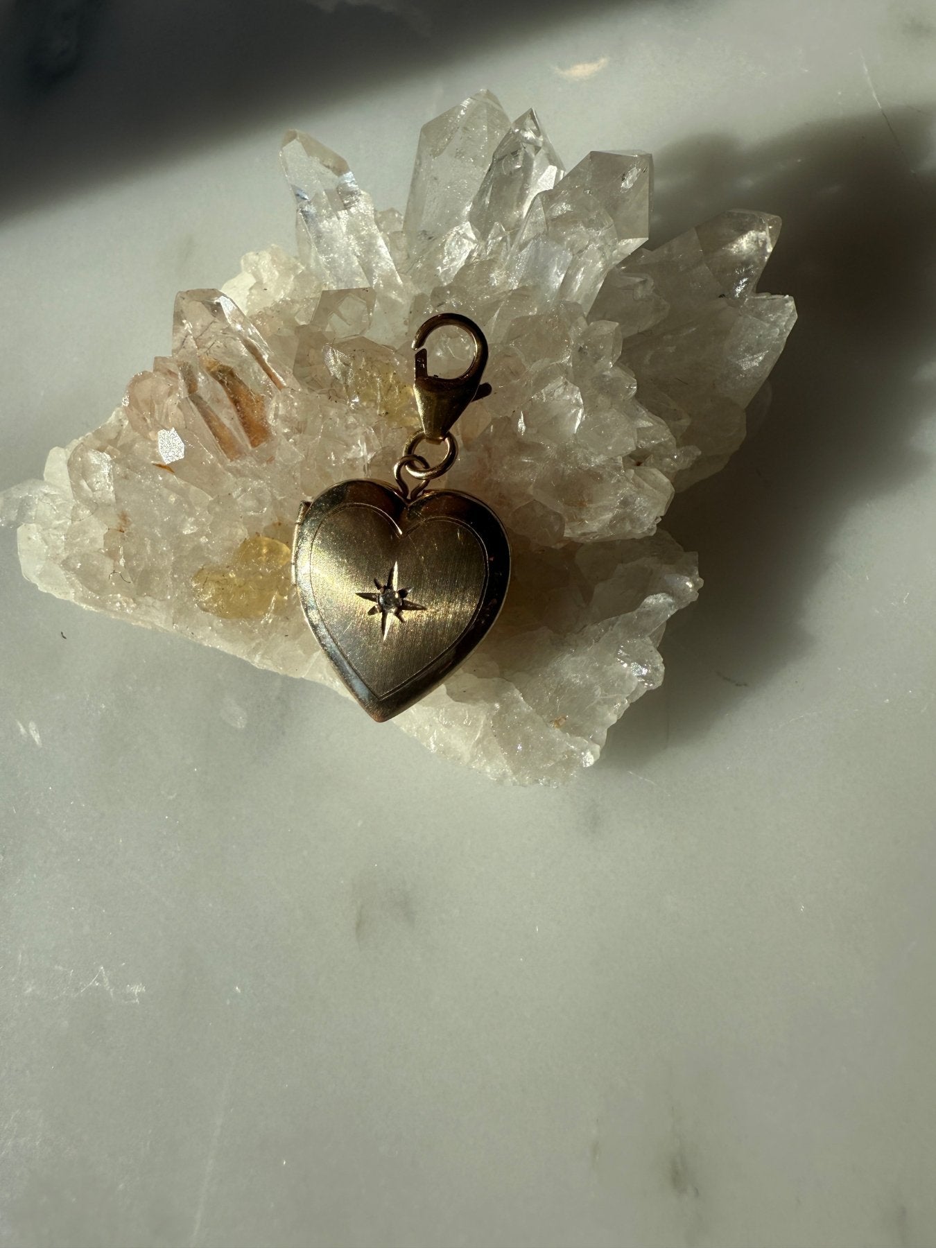 Pet Collar & Locket - Camille Jewelry