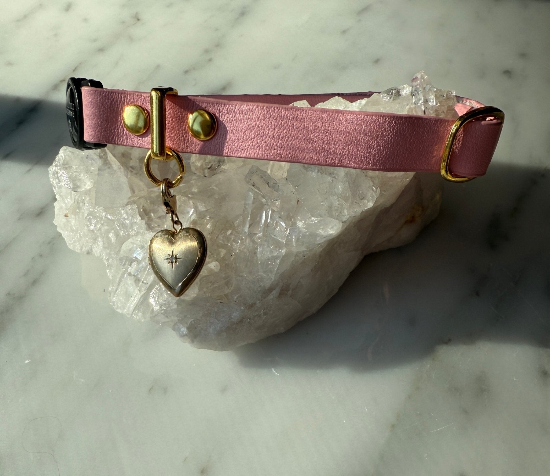 Pet Collar & Locket - Camille Jewelry