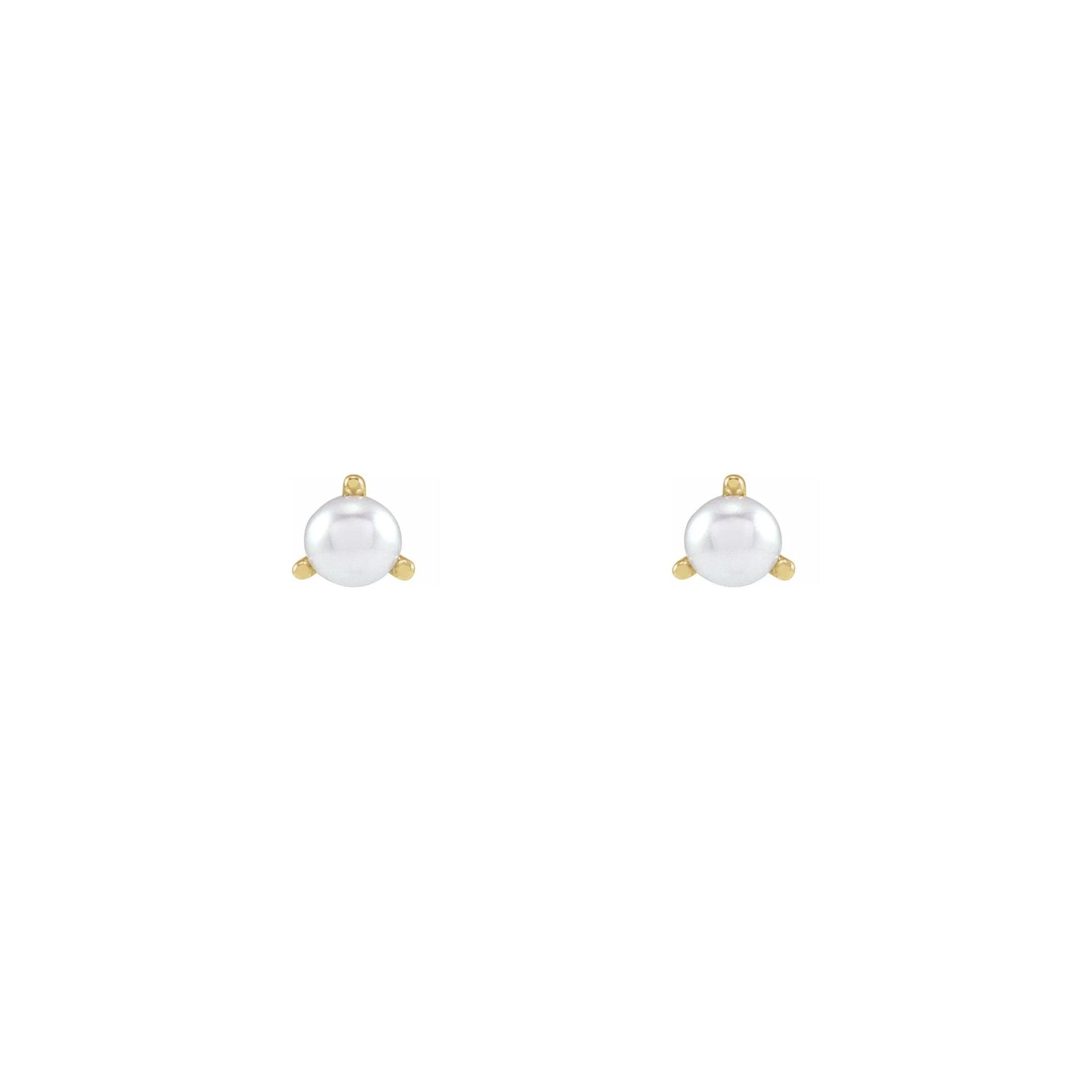 Tiny pearl studs in 14k yellow gold on a white background by Camille Jewelry
