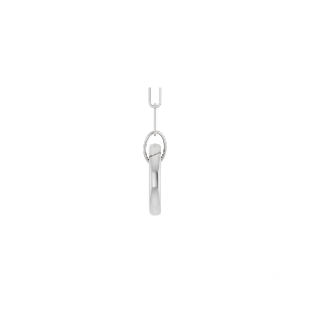 Circle charm holder necklace in 14K yellow gold with a hinged ring pendant on a white background side view by Camille Jewelry