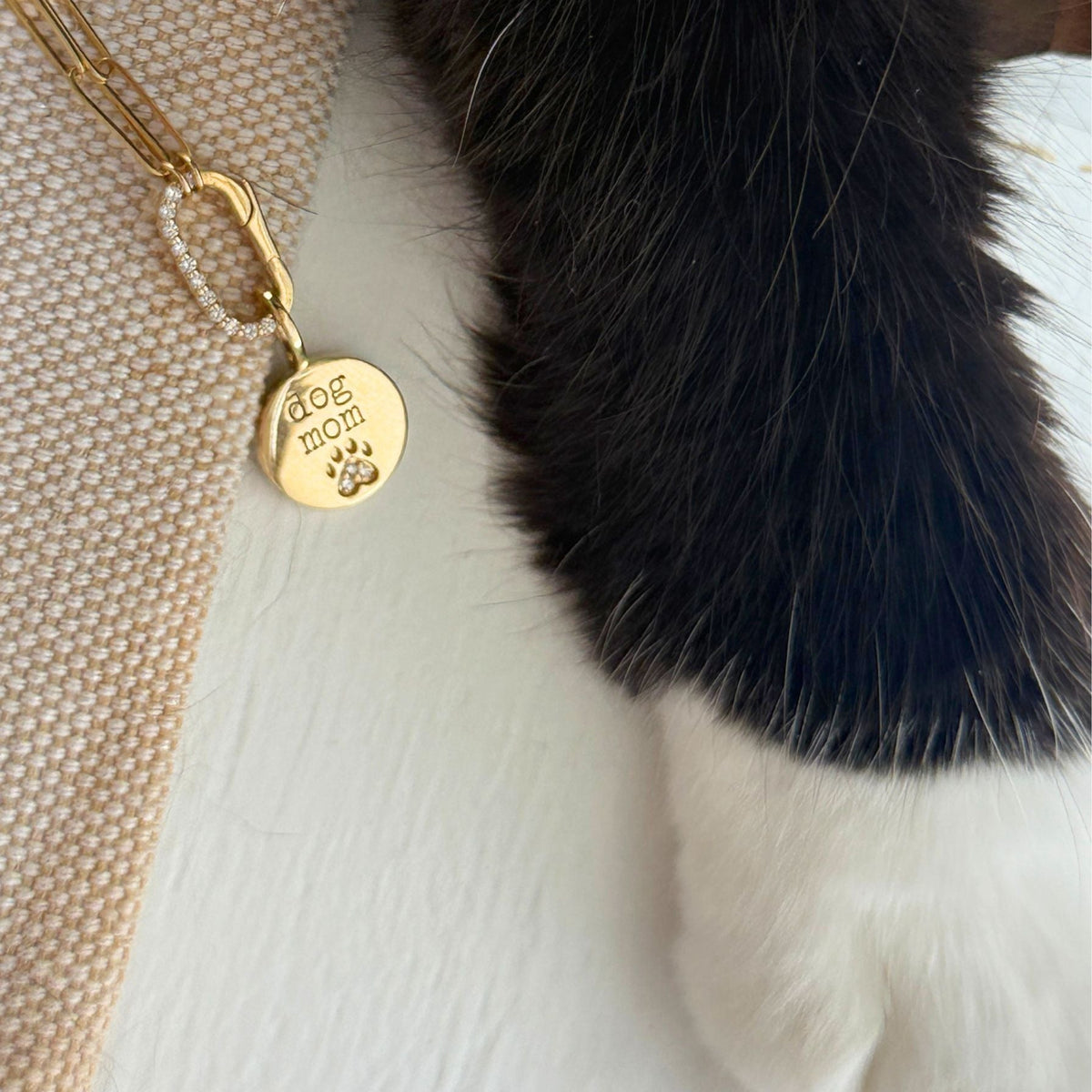 Diamond Paw Print Charm in 14K Gold for Dog and Cat Moms - Camille Jewelry