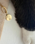 Diamond Paw Print Charm in 14K Gold for Dog and Cat Moms - Camille Jewelry