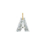 Lab Grown Diamond Initial Charm in 14K Gold