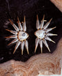 wing shaped Phoenix earrings with a central gemstone on a textured surface, branded 'Camille Jewelry'.