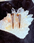 Gold bird beak stud earrings on a crystal with 'Camille Jewelry' branding Phoenix Collection.